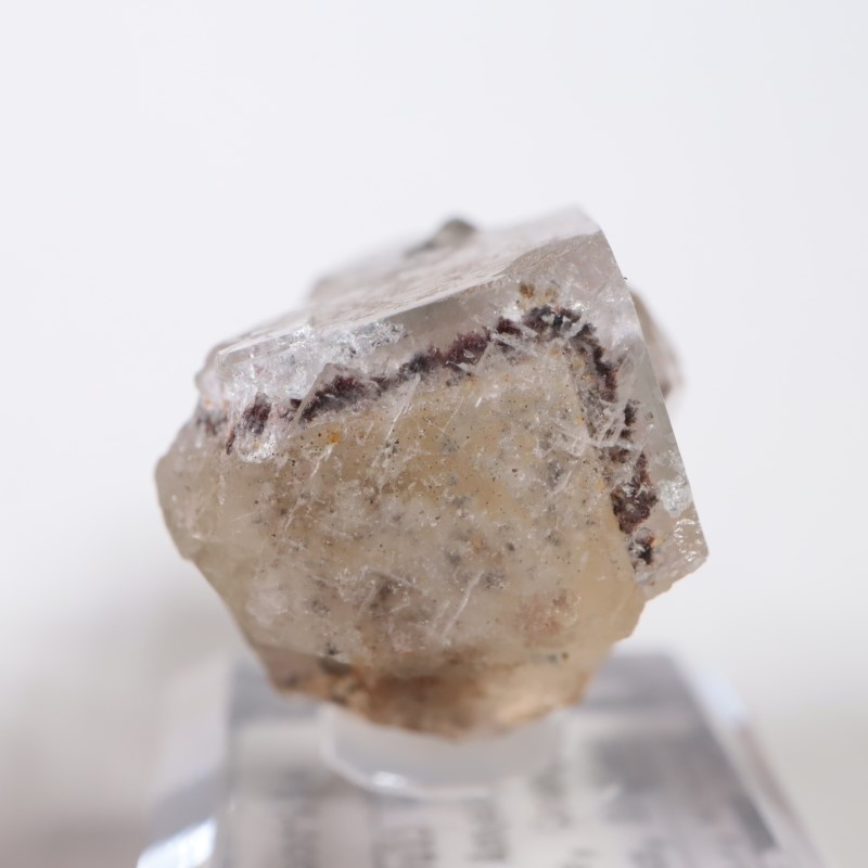 イギリス レディアナベラ　The Bull vein フローライト　鉱物標本 The Bull Vein フローライト | 鉱物標本,ハ行,フローライト/蛍石