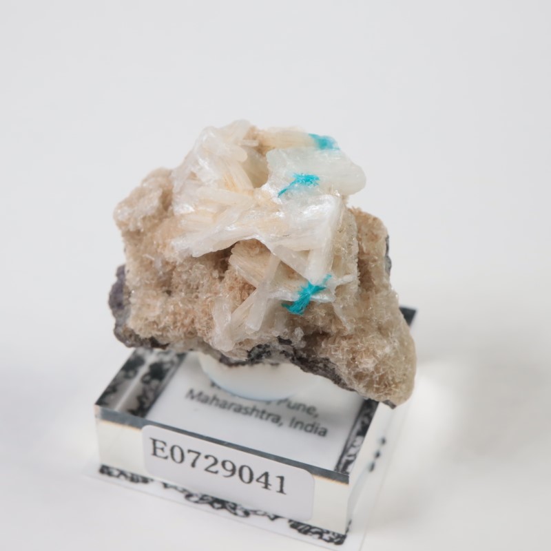 ����ɻ� ���Х󥵥���