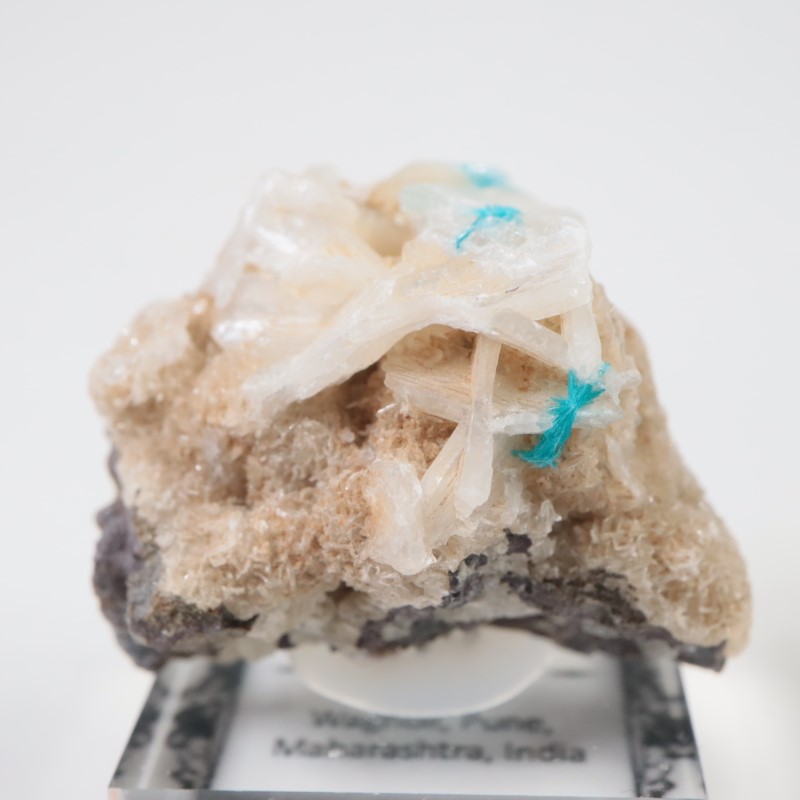 ����ɻ� ���Х󥵥���