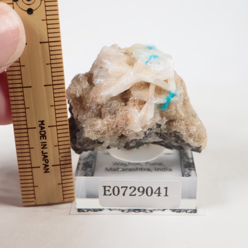 ����ɻ� ���Х󥵥���