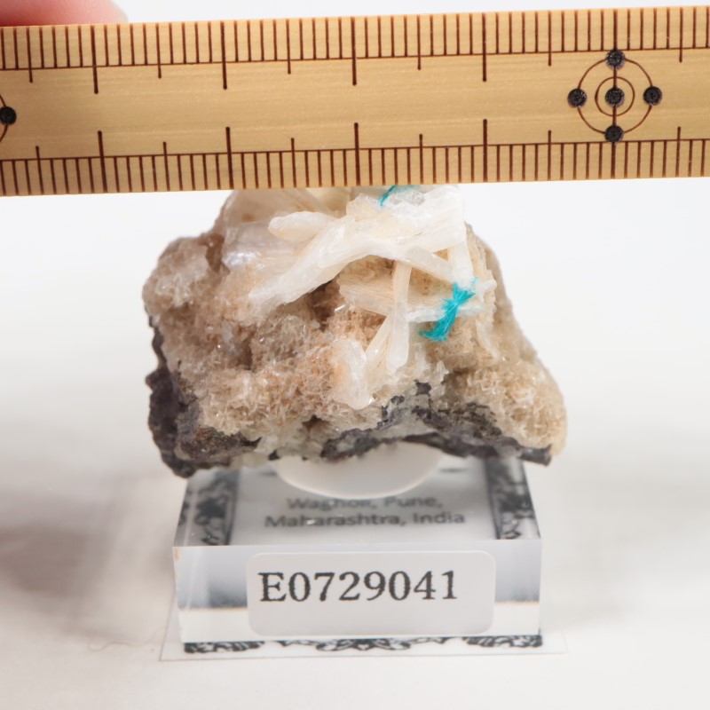 ����ɻ� ���Х󥵥���