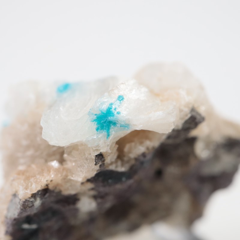 ����ɻ� ���Х󥵥���