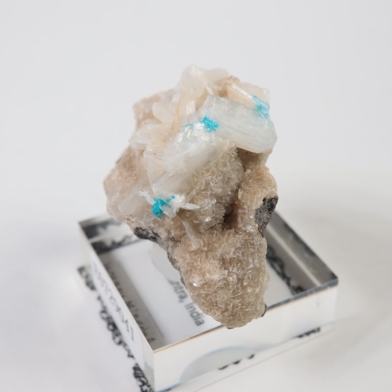 ����ɻ� ���Х󥵥���