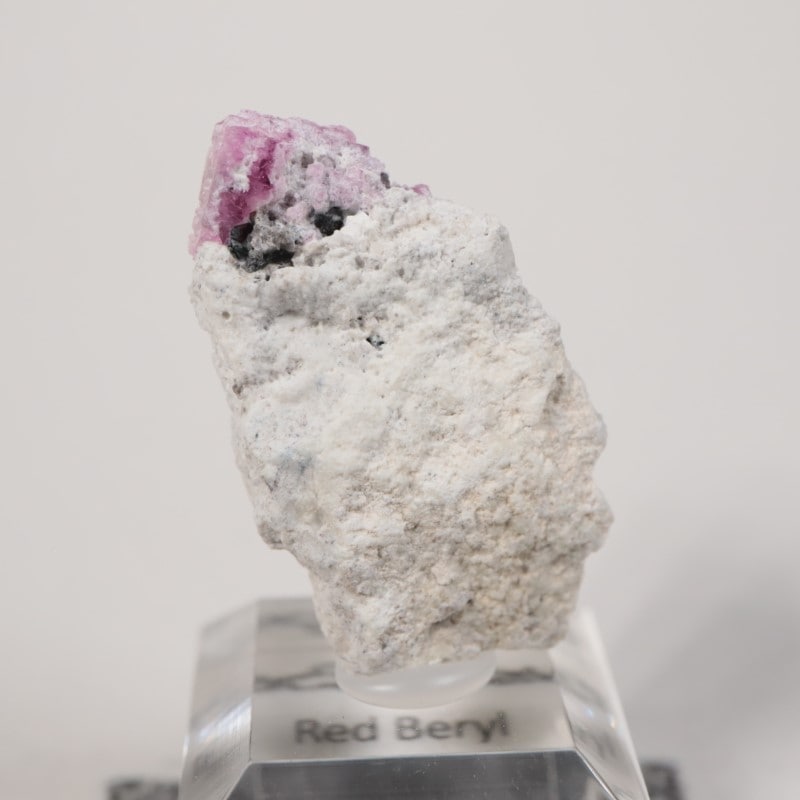 �楿���� ��åɥ٥��