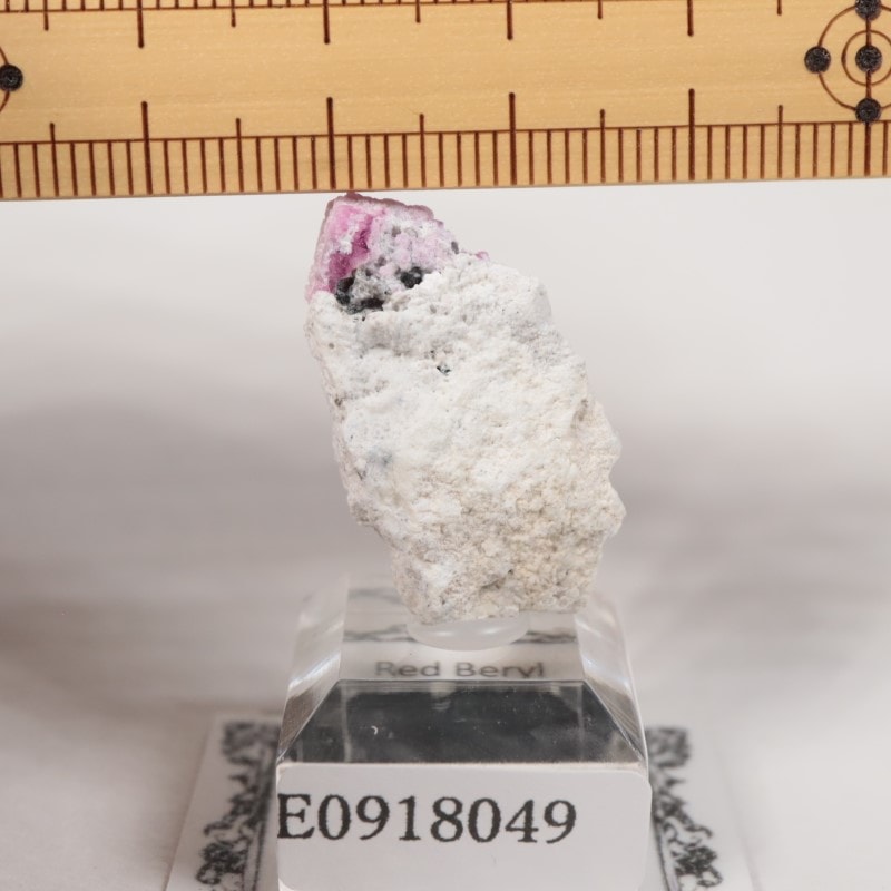 �楿���� ��åɥ٥��