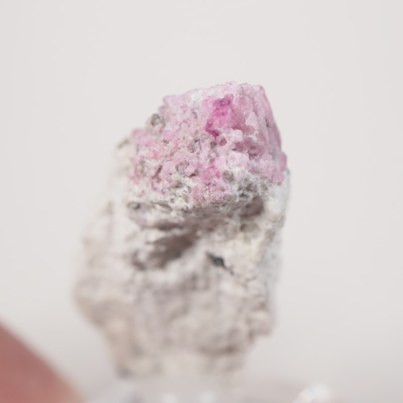 �楿���� ��åɥ٥��