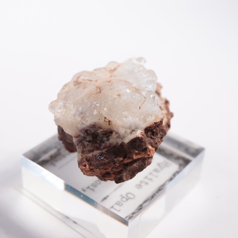 �ᥭ������ �ϥ����饤�ȥ��ѡ���