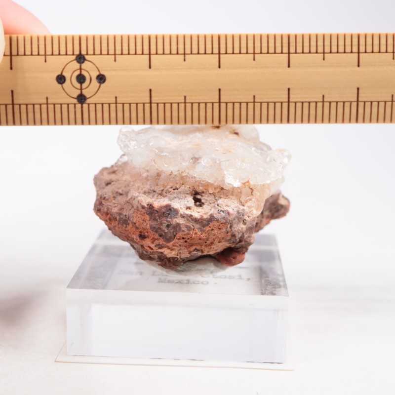 �ᥭ������ �ϥ����饤�ȥ��ѡ���