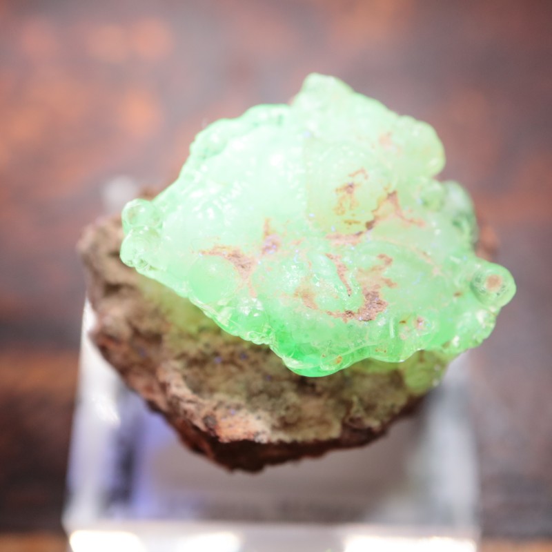 �ᥭ������ �ϥ����饤�ȥ��ѡ���