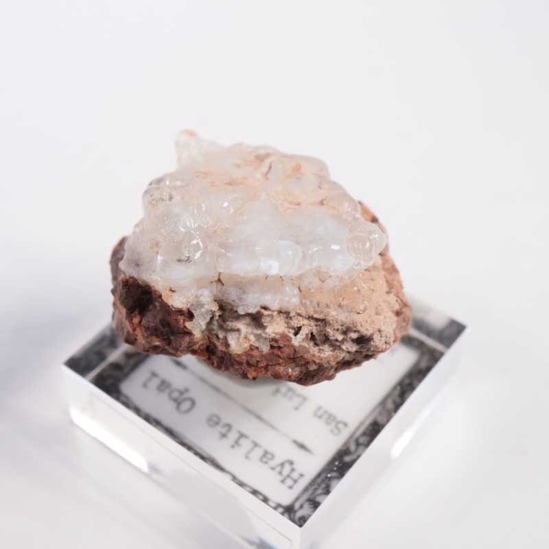 �ᥭ������ �ϥ����饤�ȥ��ѡ���