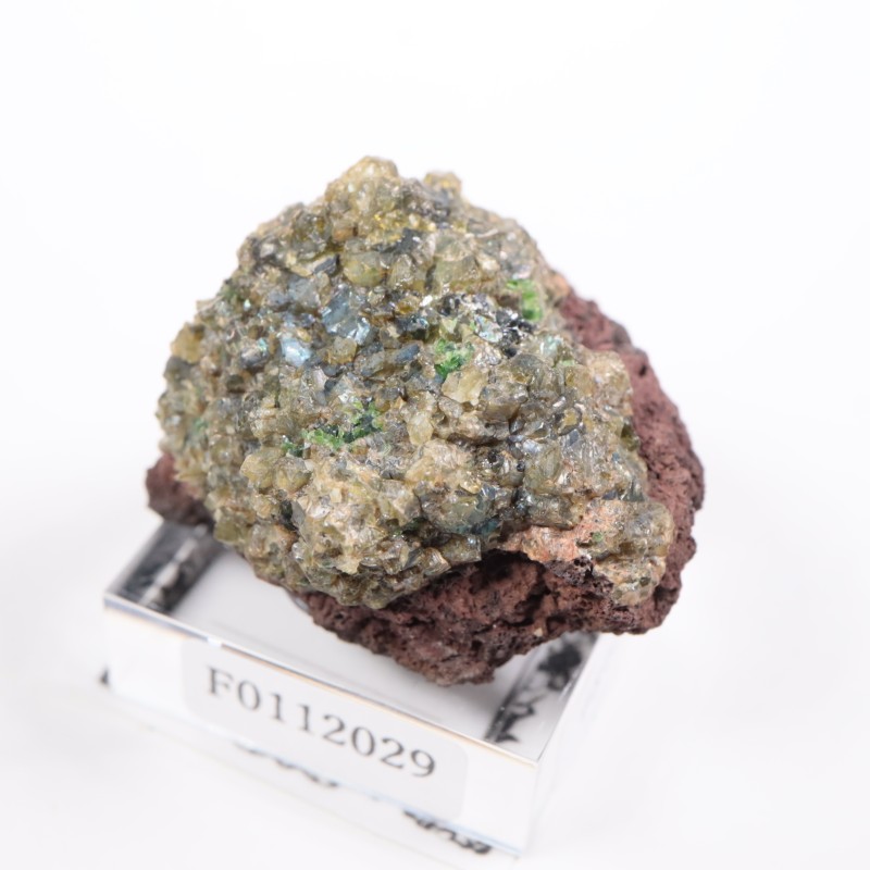 �٥ȥʥ໺ �ڥ�ɥå�