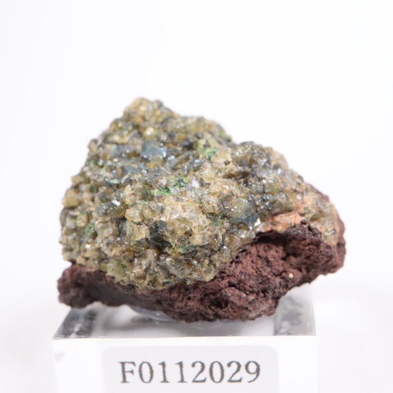 �٥ȥʥ໺ �ڥ�ɥå�