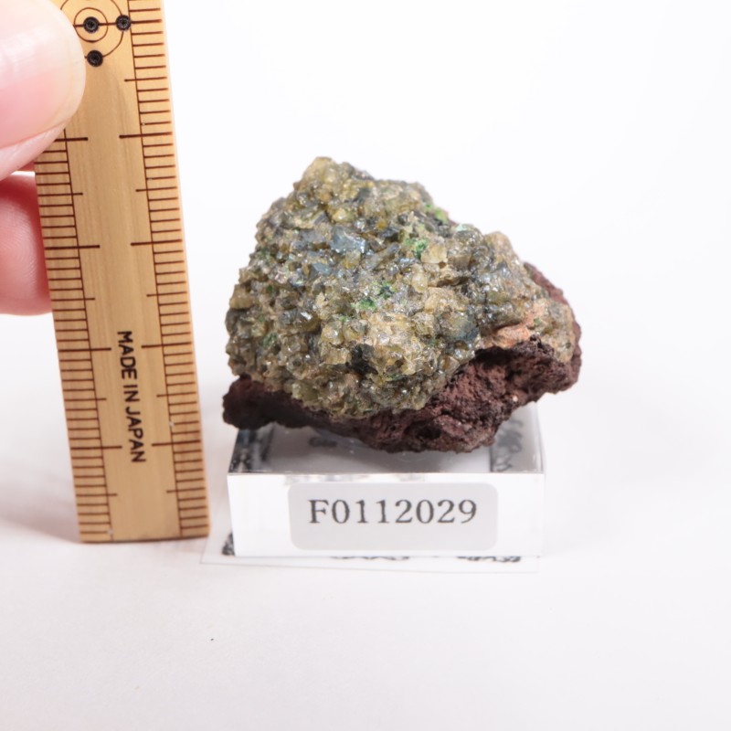 �٥ȥʥ໺ �ڥ�ɥå�