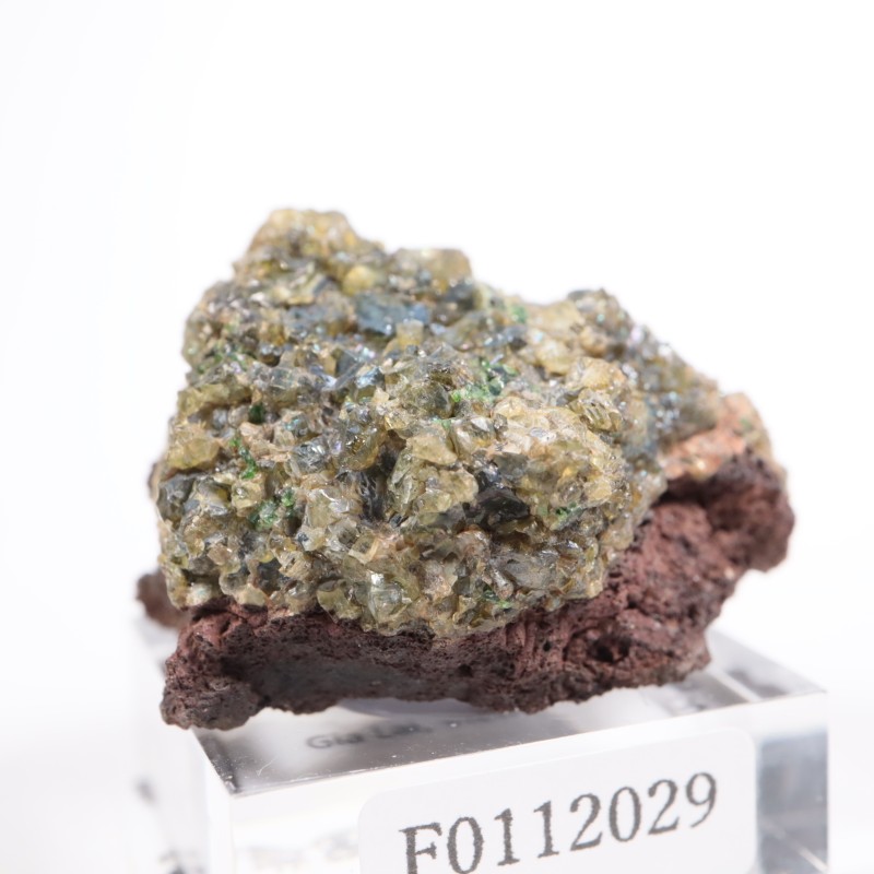 �٥ȥʥ໺ �ڥ�ɥå�