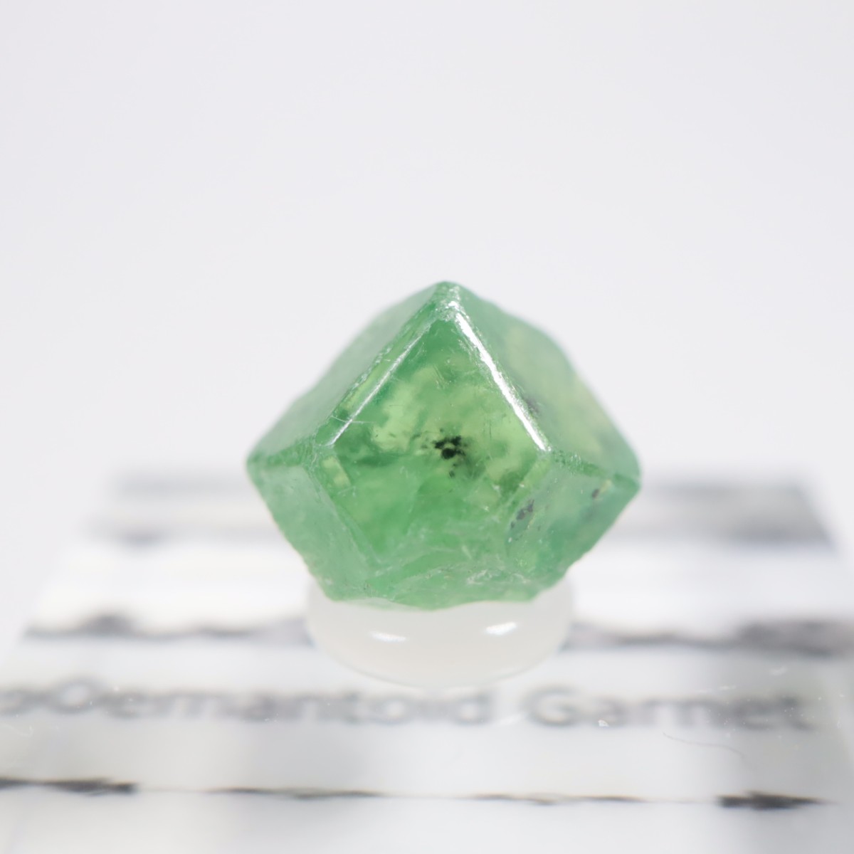 �ѥ������� �ǥޥ�ȥ��ɥ����ͥå�