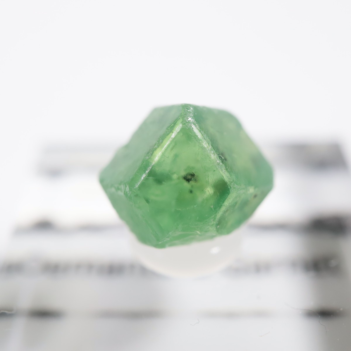 �ѥ������� �ǥޥ�ȥ��ɥ����ͥå�