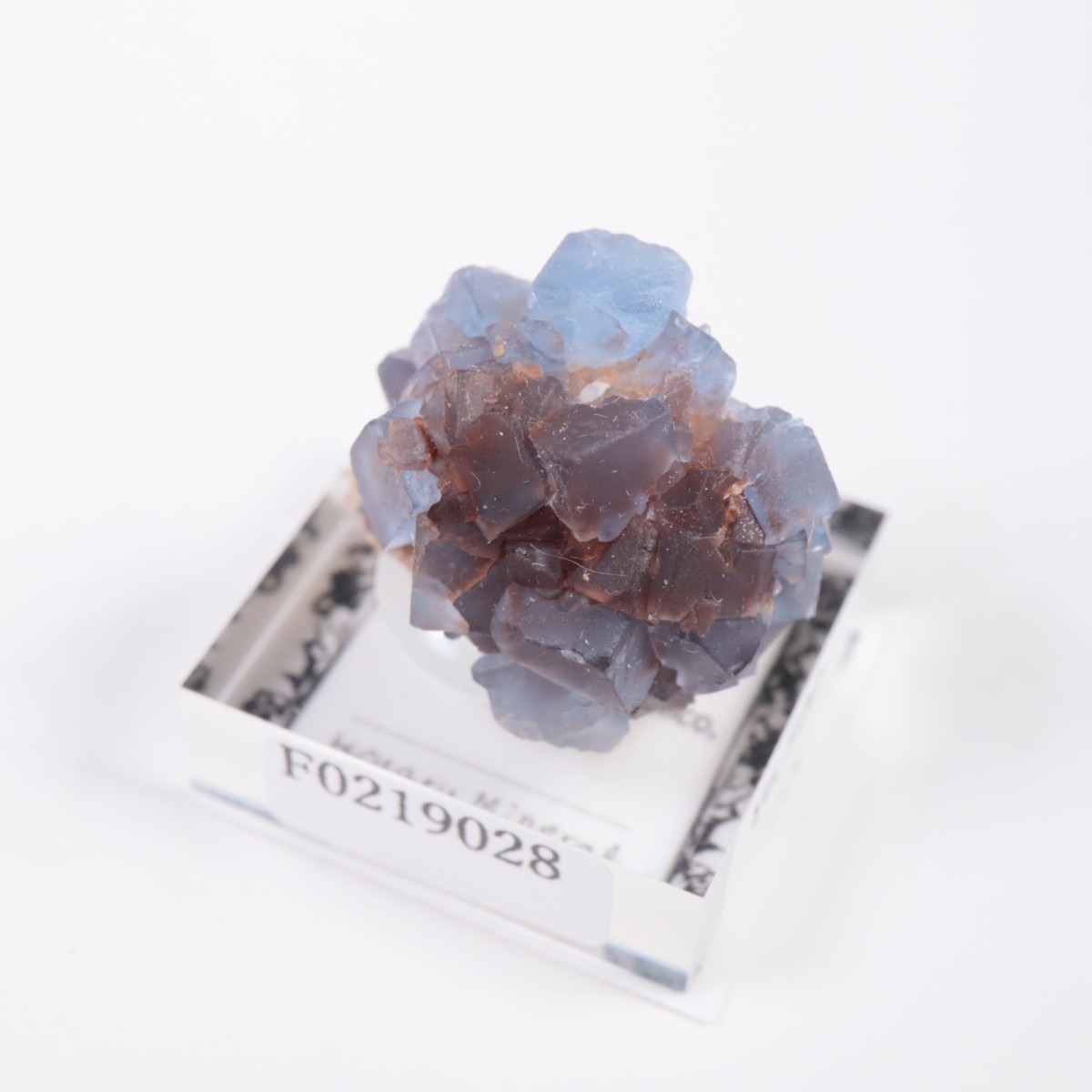 �˥塼�ᥭ�������� �ե����饤��