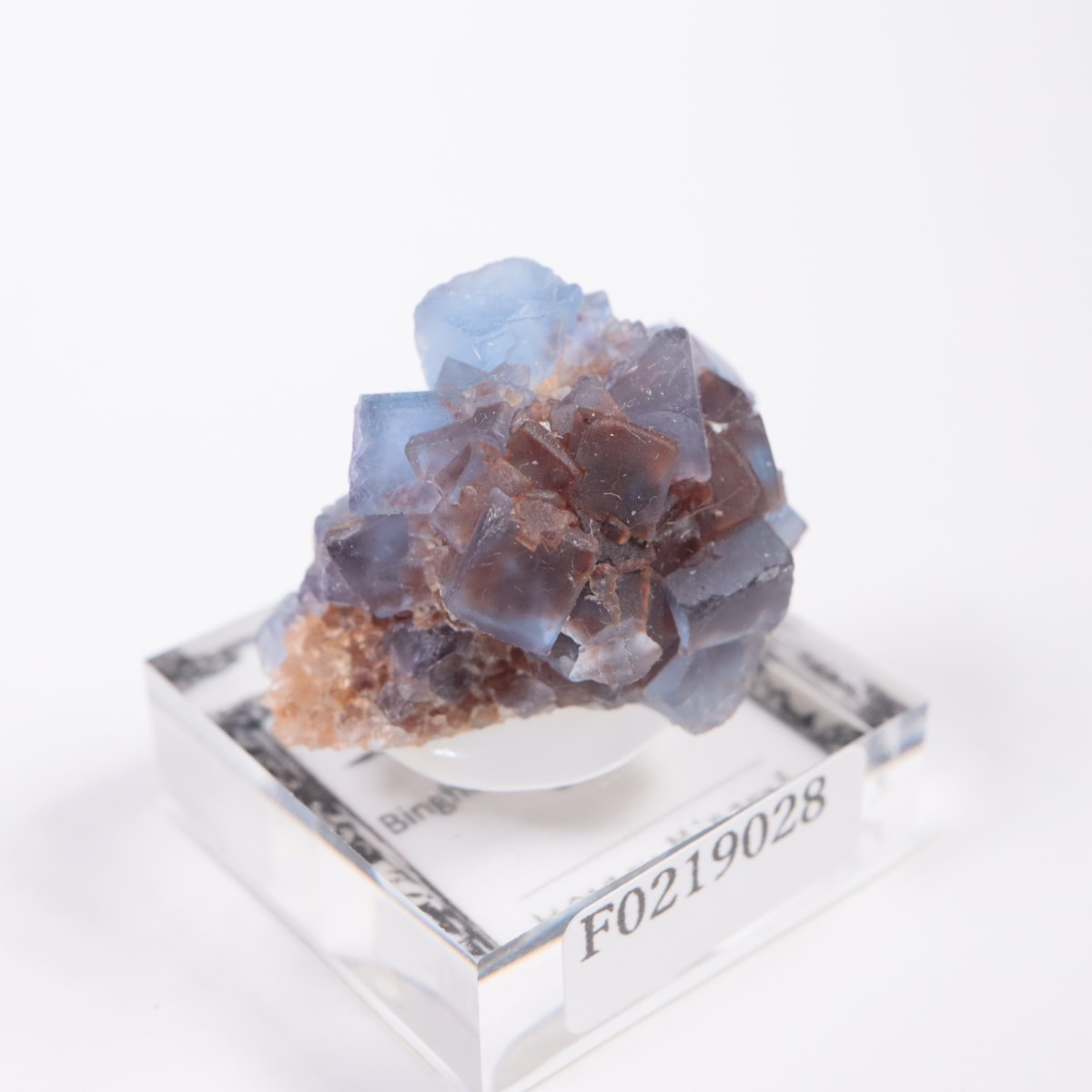 �˥塼�ᥭ�������� �ե����饤��