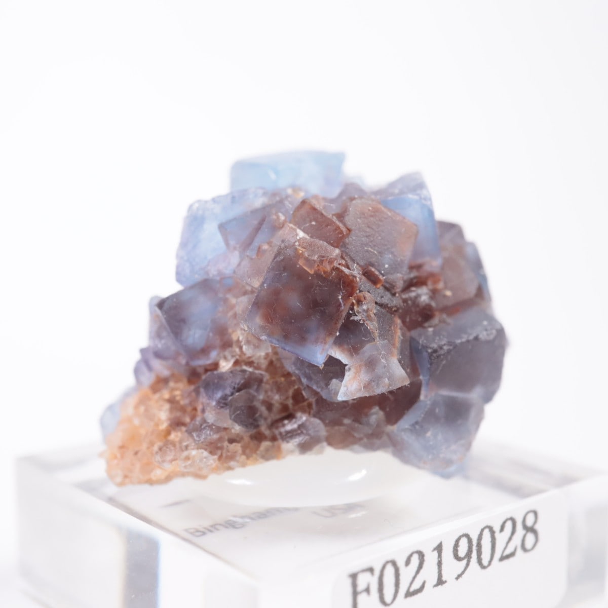 �˥塼�ᥭ�������� �ե����饤��