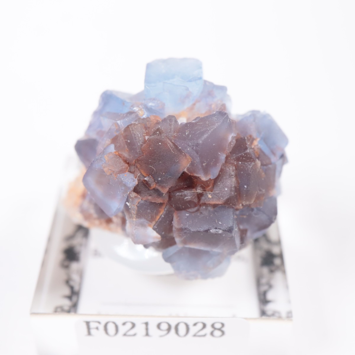 �˥塼�ᥭ�������� �ե����饤��