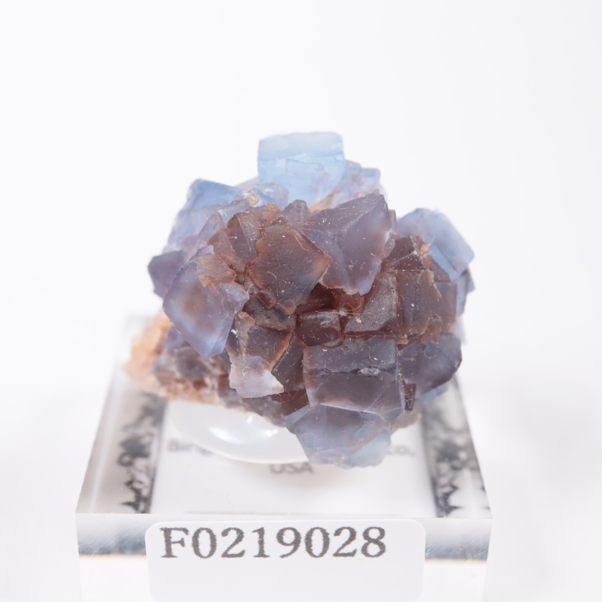 �˥塼�ᥭ�������� �ե����饤��