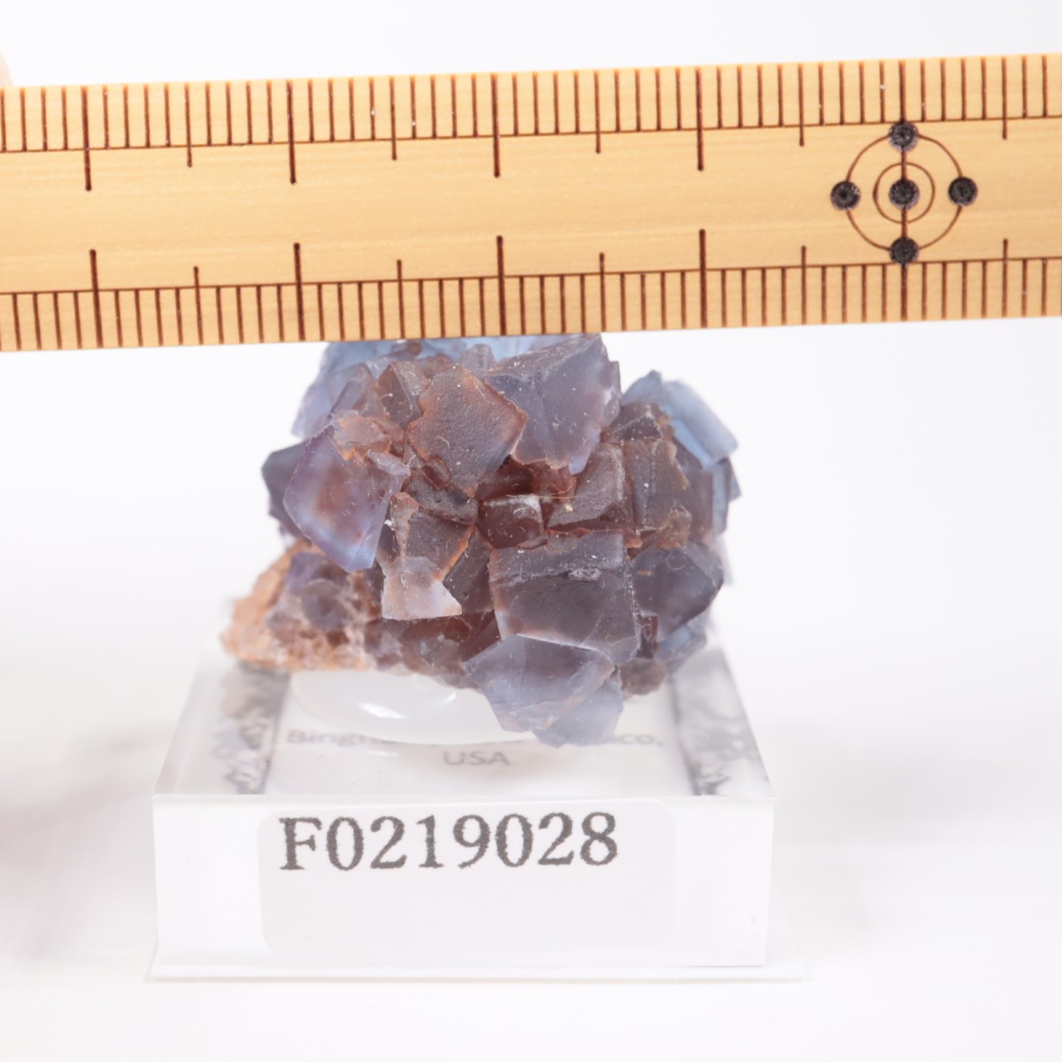 �˥塼�ᥭ�������� �ե����饤��