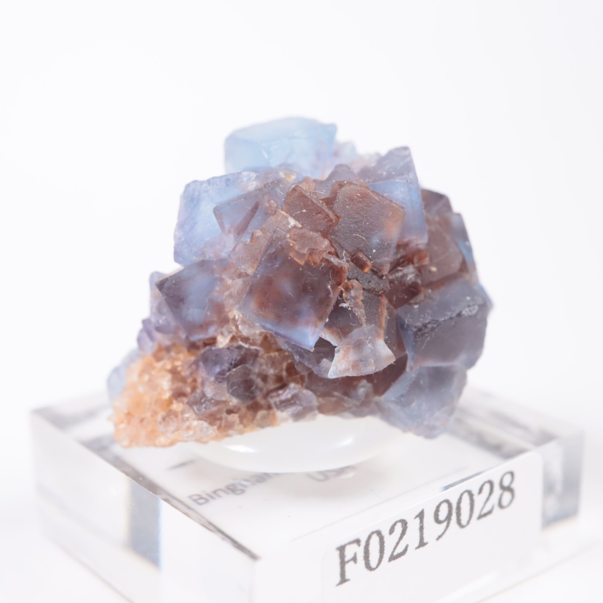 �˥塼�ᥭ�������� �ե����饤��