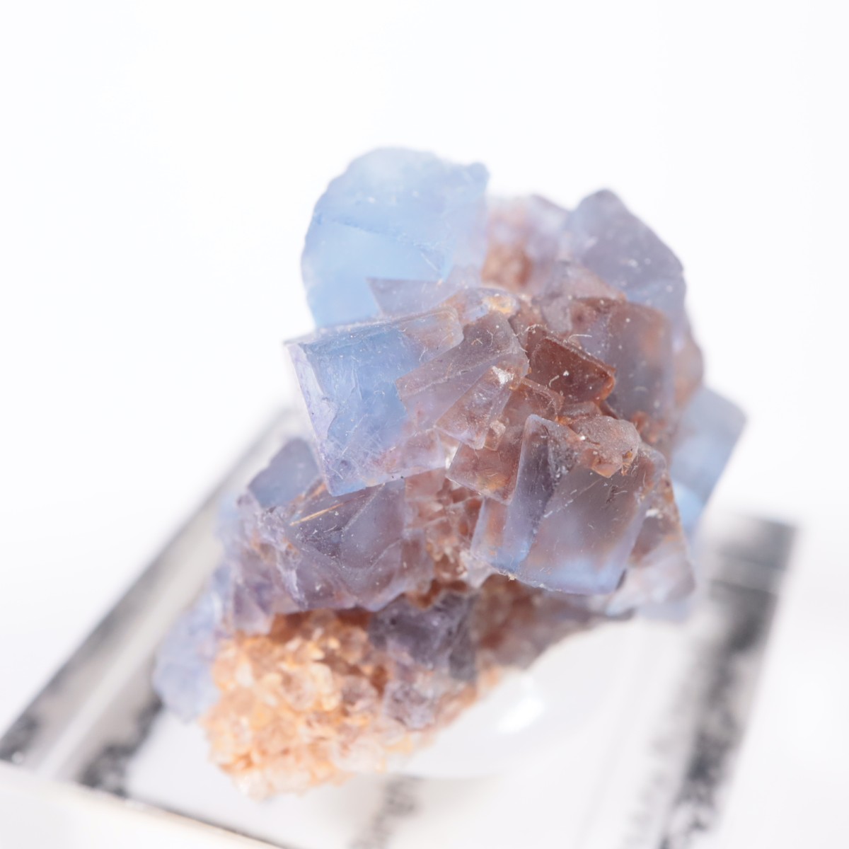 �˥塼�ᥭ�������� �ե����饤��