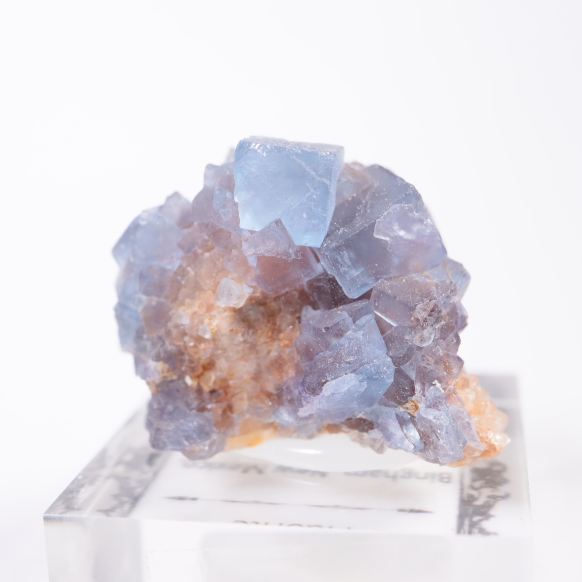 �˥塼�ᥭ�������� �ե����饤��