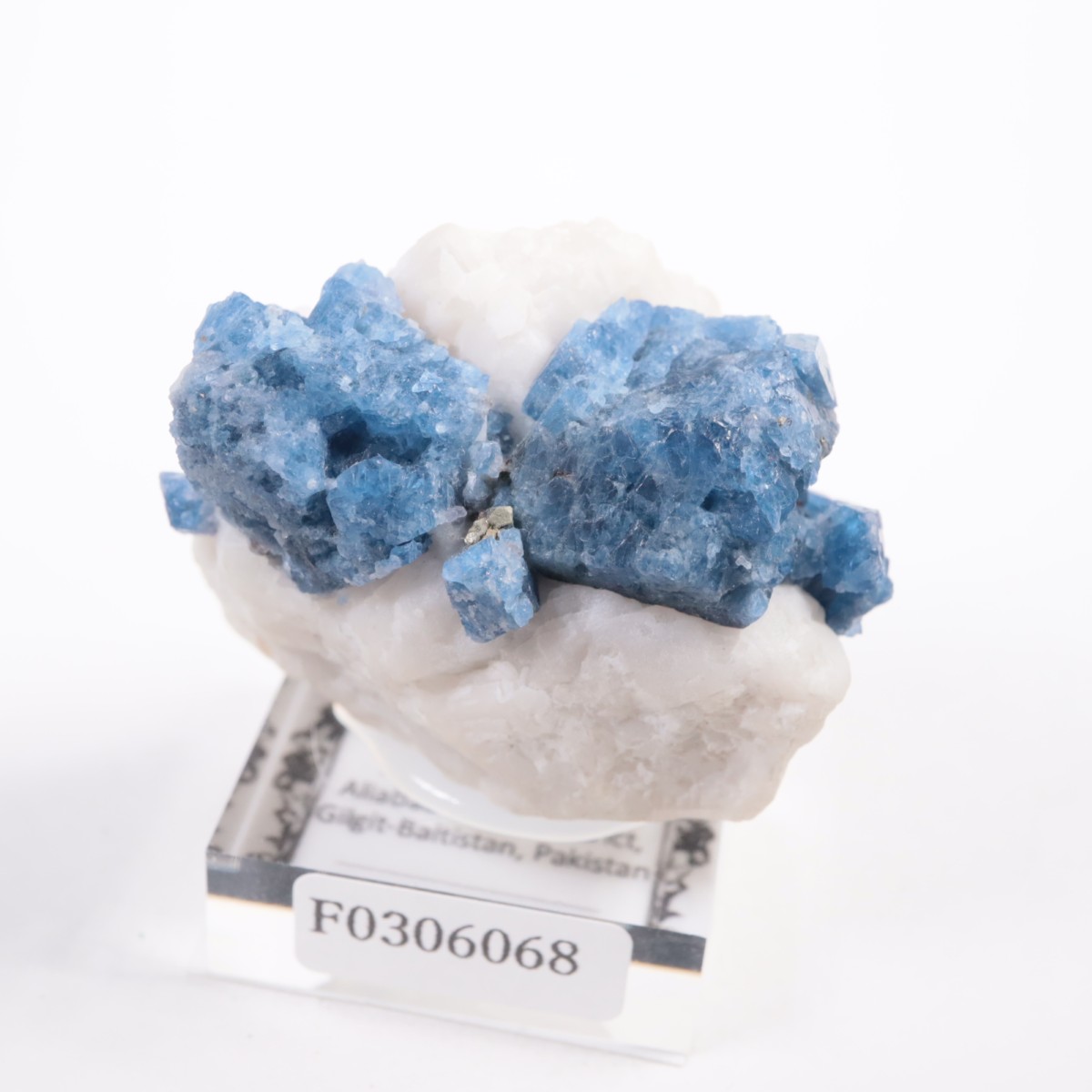 �ѥ������� ���ԥͥ�