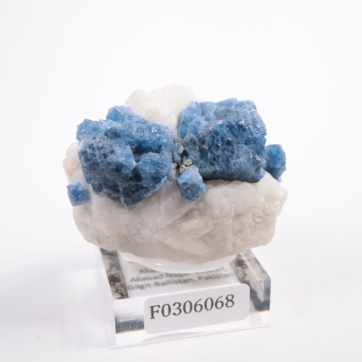 �ѥ������� ���ԥͥ�