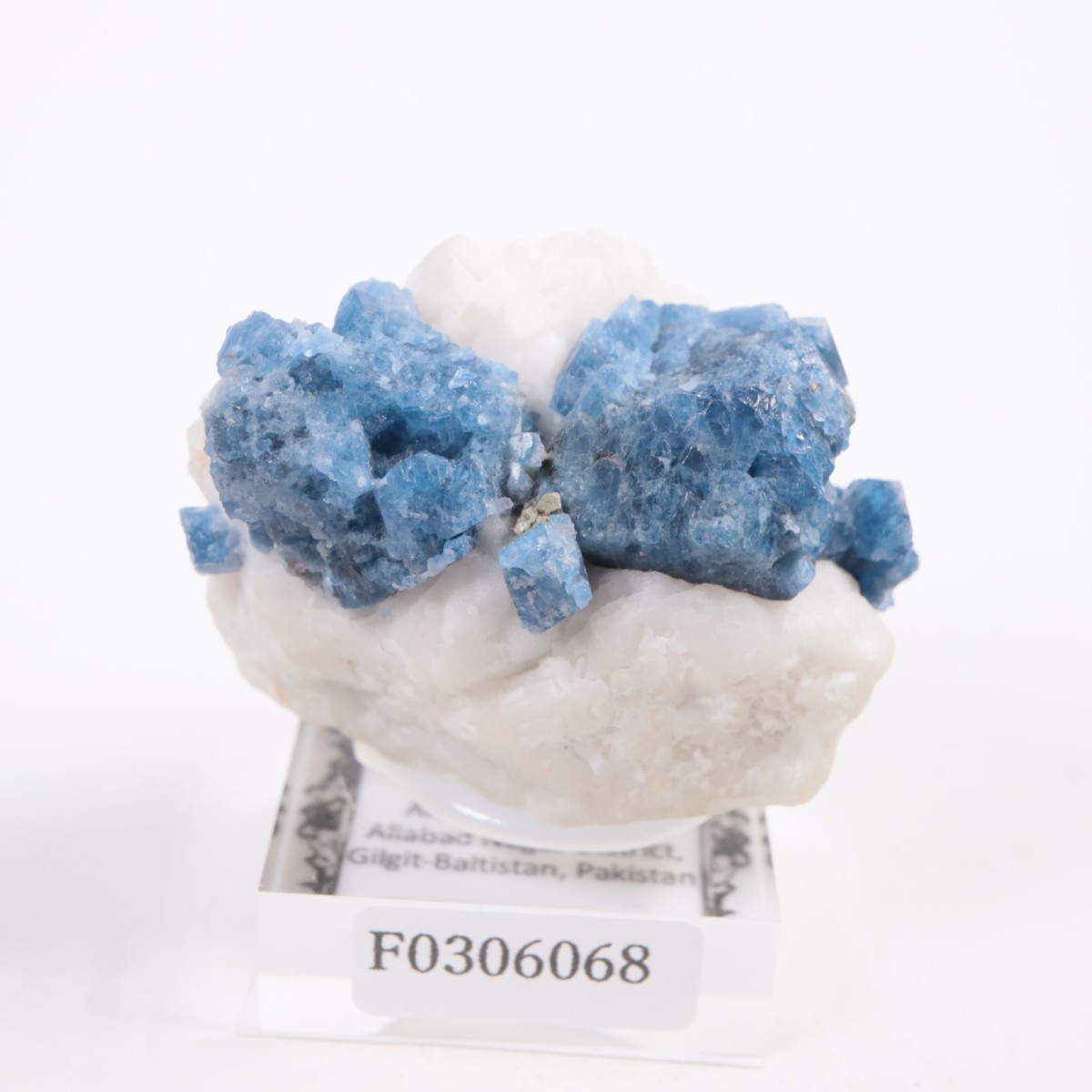 �ѥ������� ���ԥͥ�