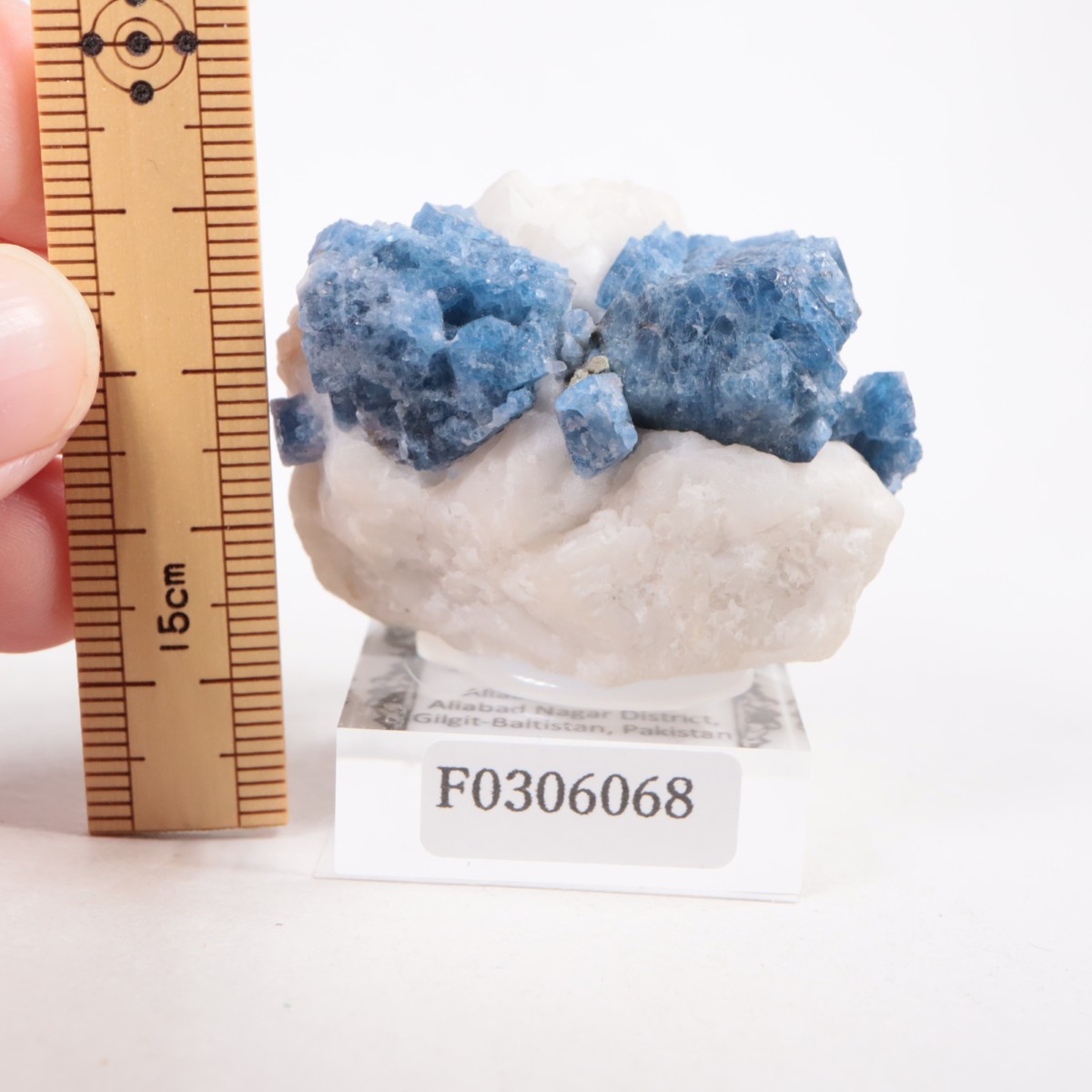 �ѥ������� ���ԥͥ�