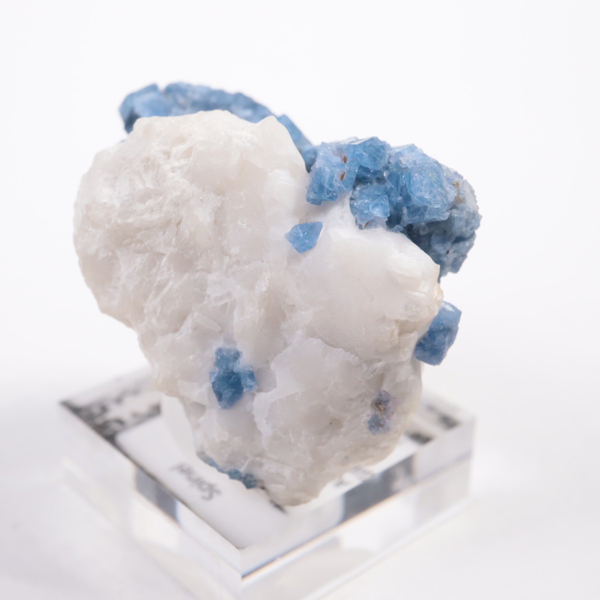 �ѥ������� ���ԥͥ�