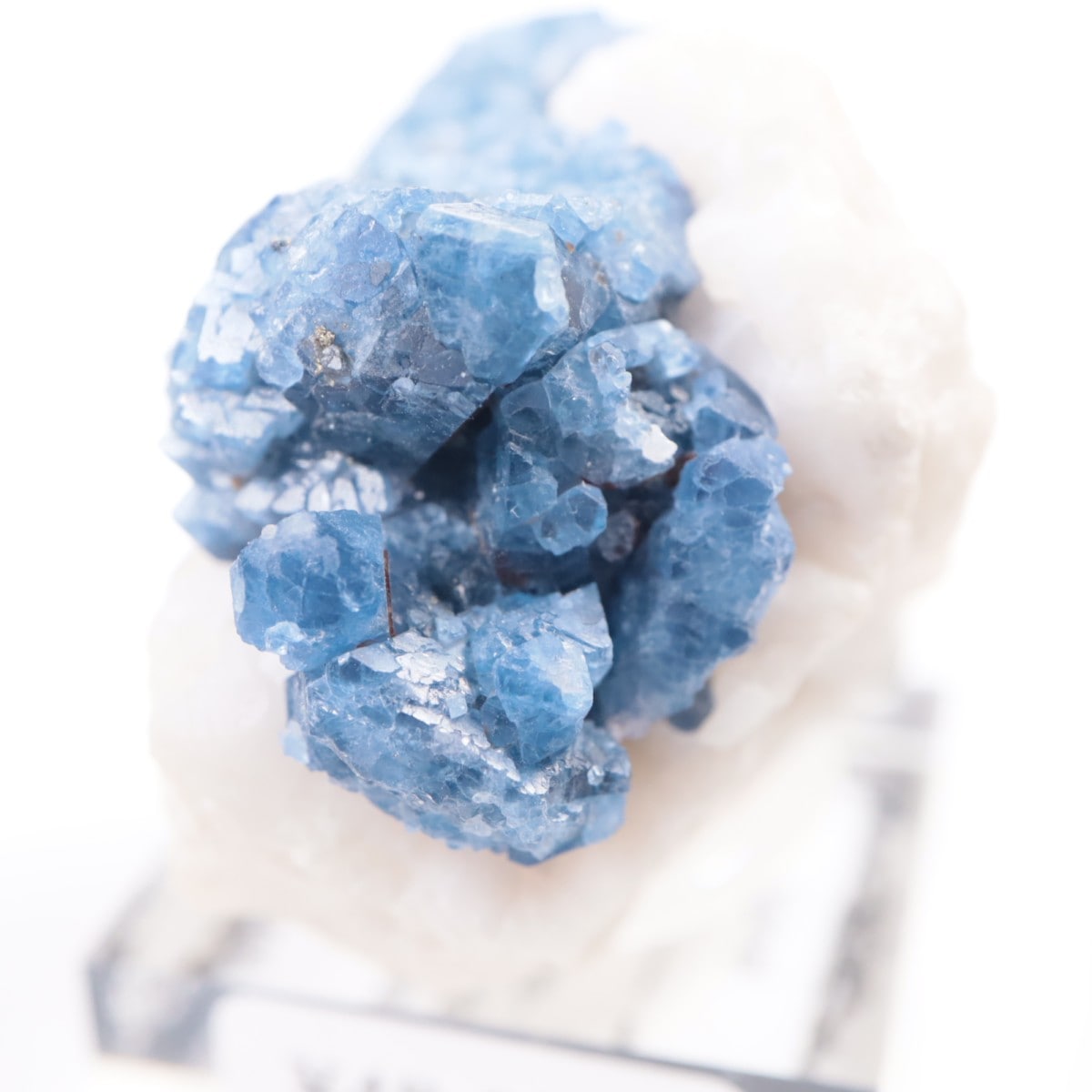 �ѥ������� ���ԥͥ�