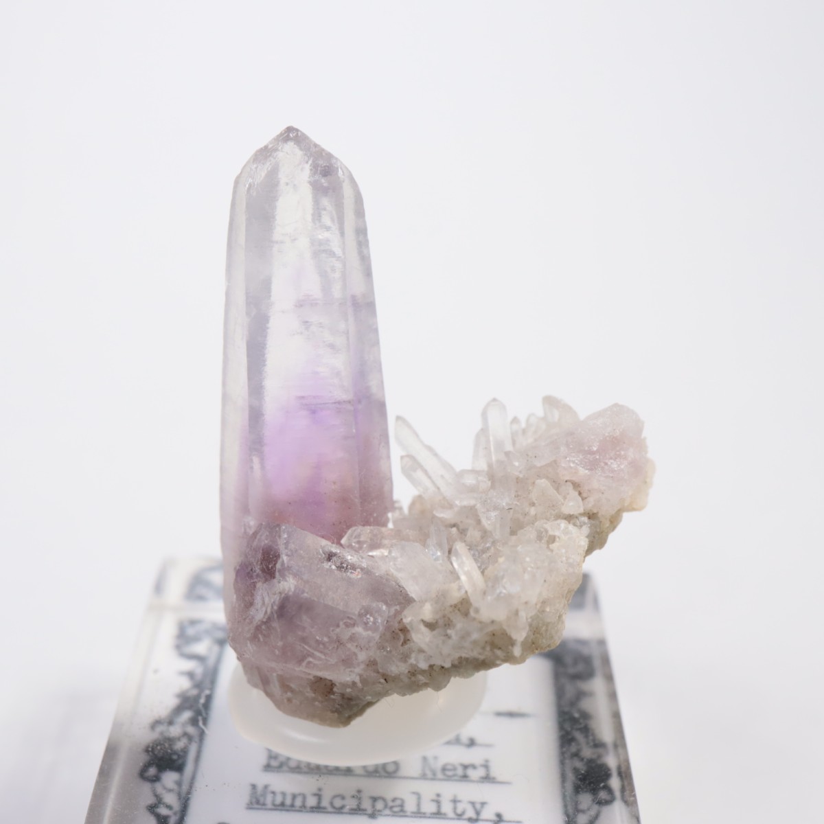 Amatitlan�� ���᥷����