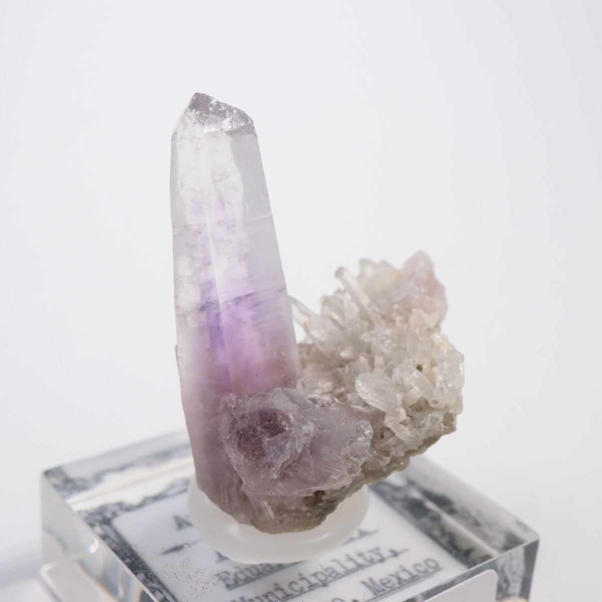 Amatitlan�� ���᥷����