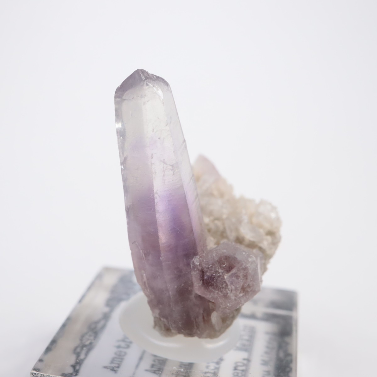 Amatitlan�� ���᥷����