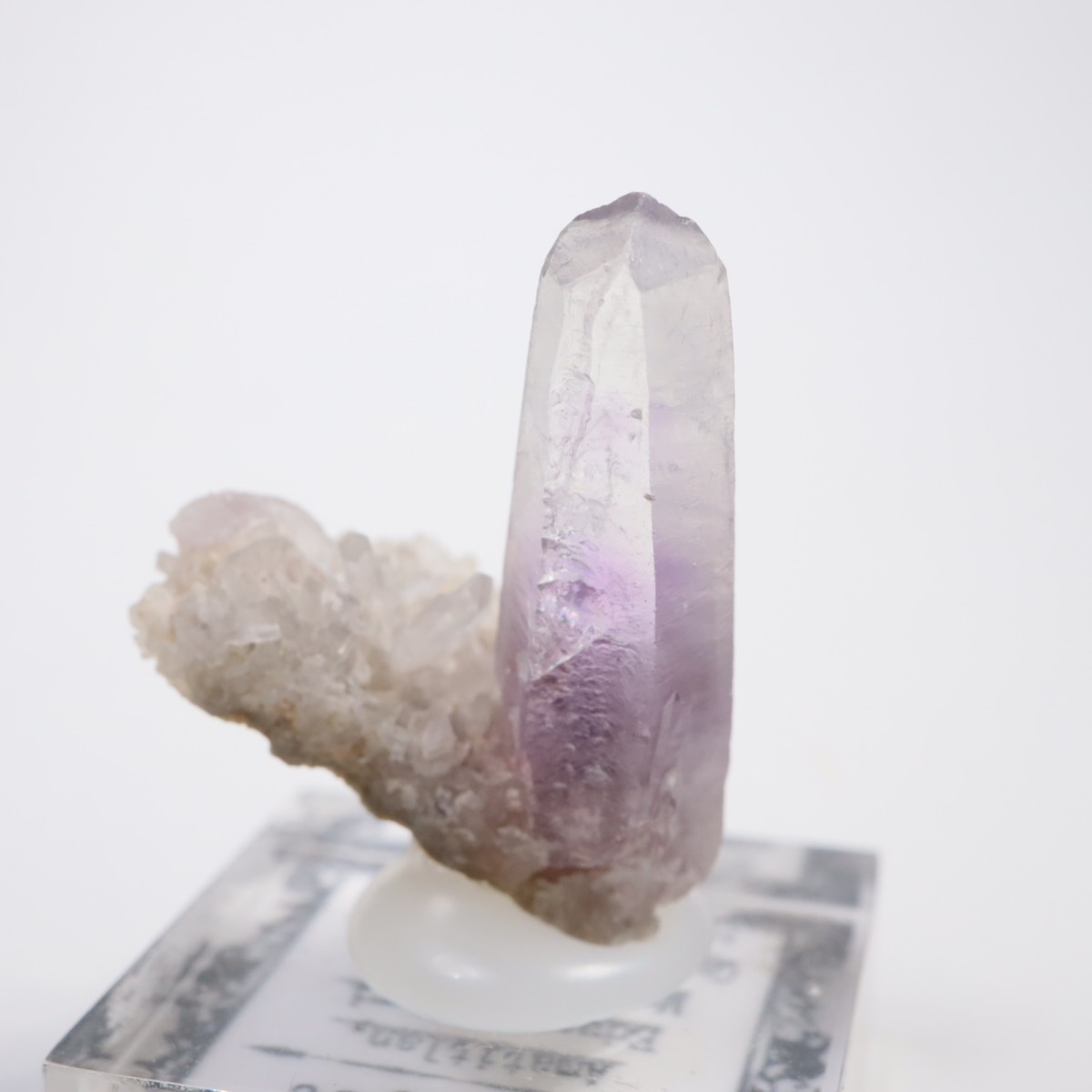 Amatitlan�� ���᥷����