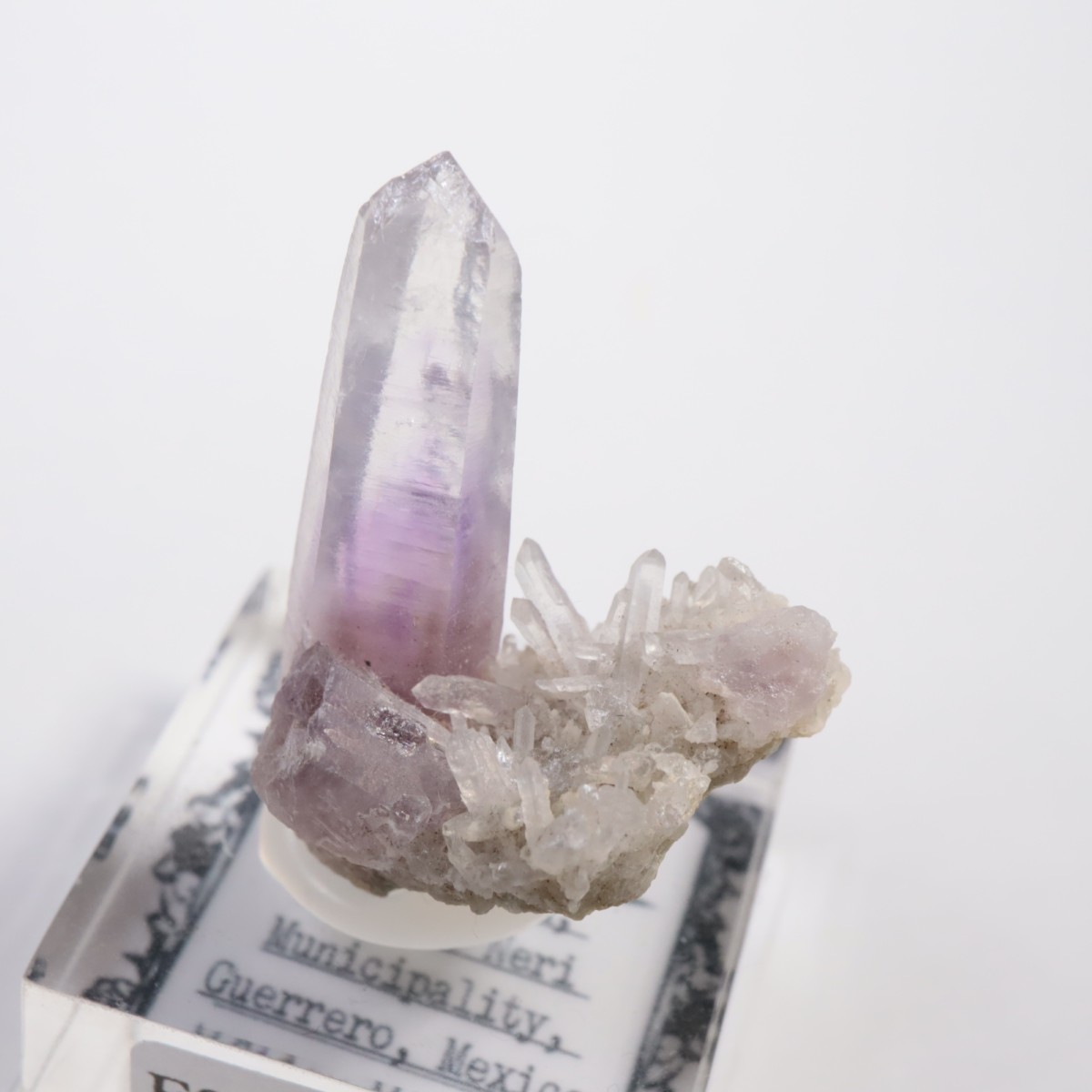 Amatitlan�� ���᥷����