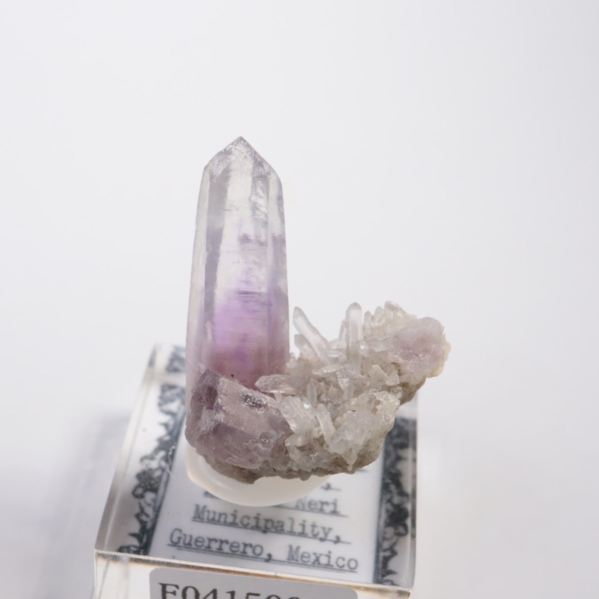 Amatitlan�� ���᥷����