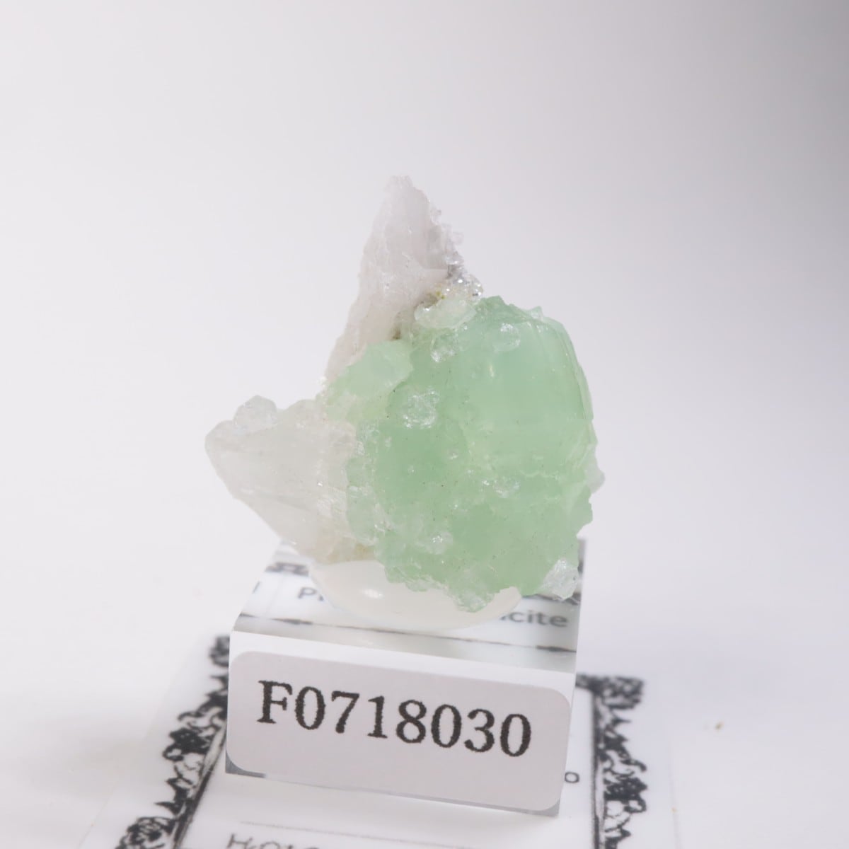 �֥��ɥС��������ץ�ʥ��ȡ����륵����