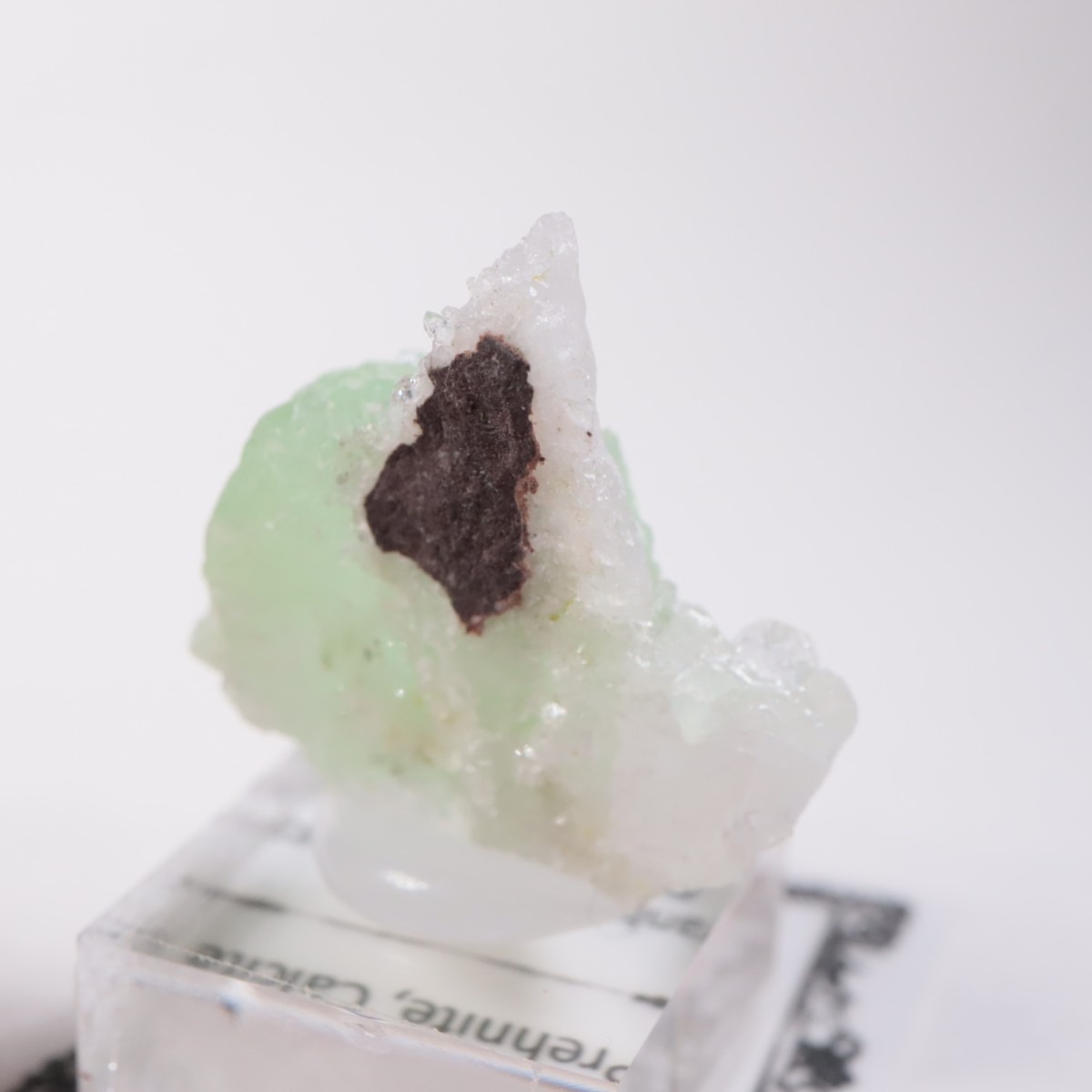 �֥��ɥС��������ץ�ʥ��ȡ����륵����