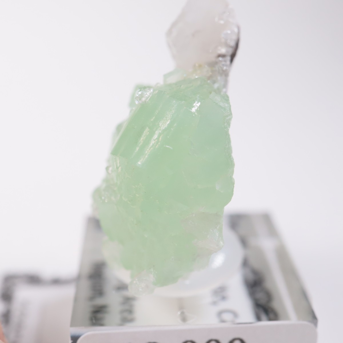 �֥��ɥС��������ץ�ʥ��ȡ����륵����