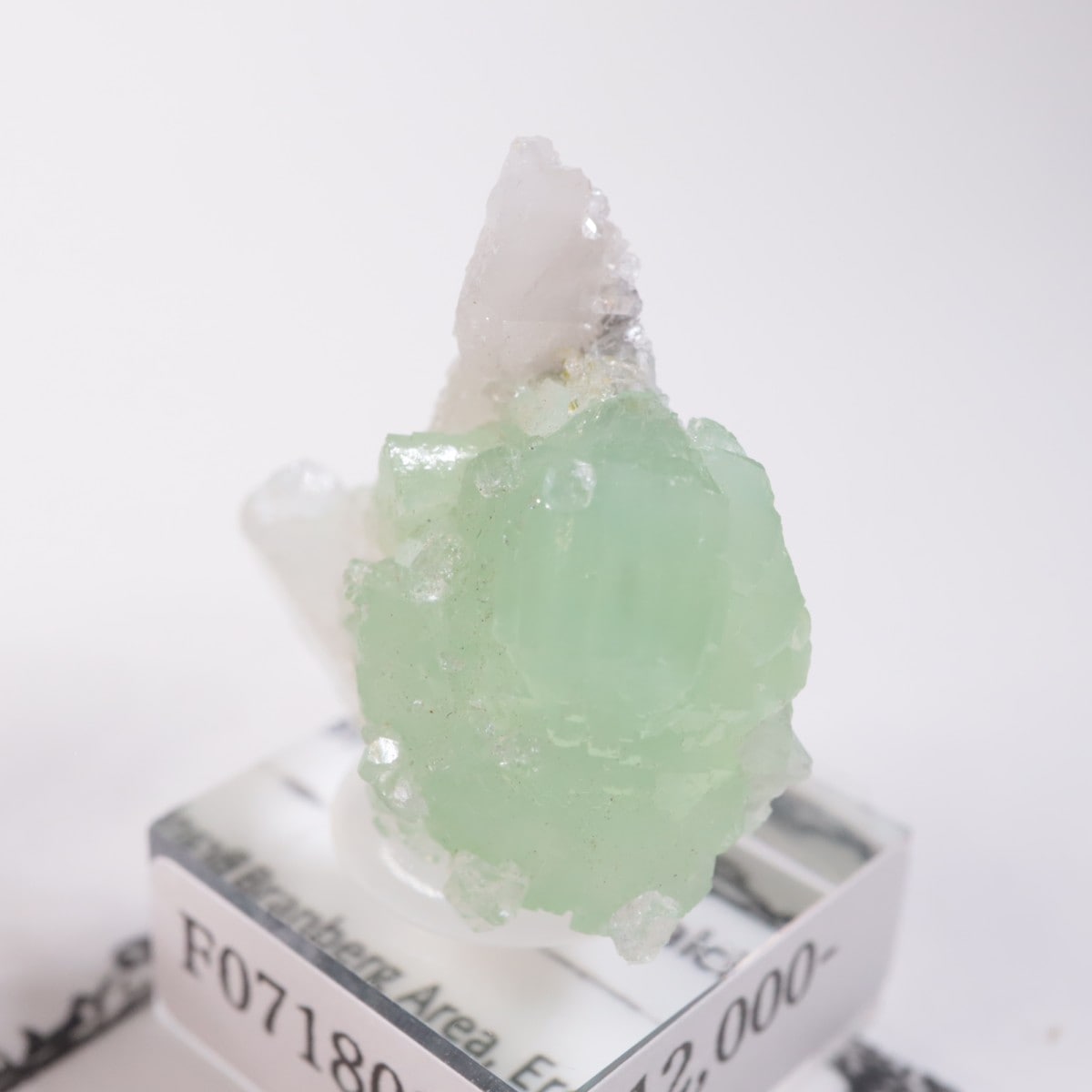 �֥��ɥС��������ץ�ʥ��ȡ����륵����