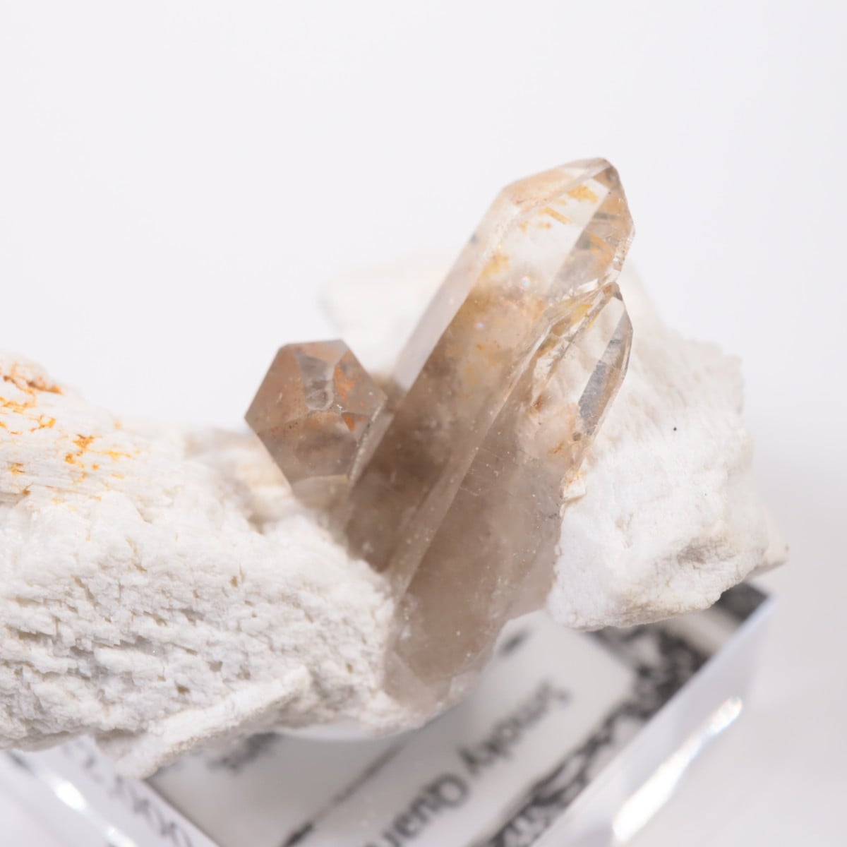 �����󥴹ۻ� ���⡼������������