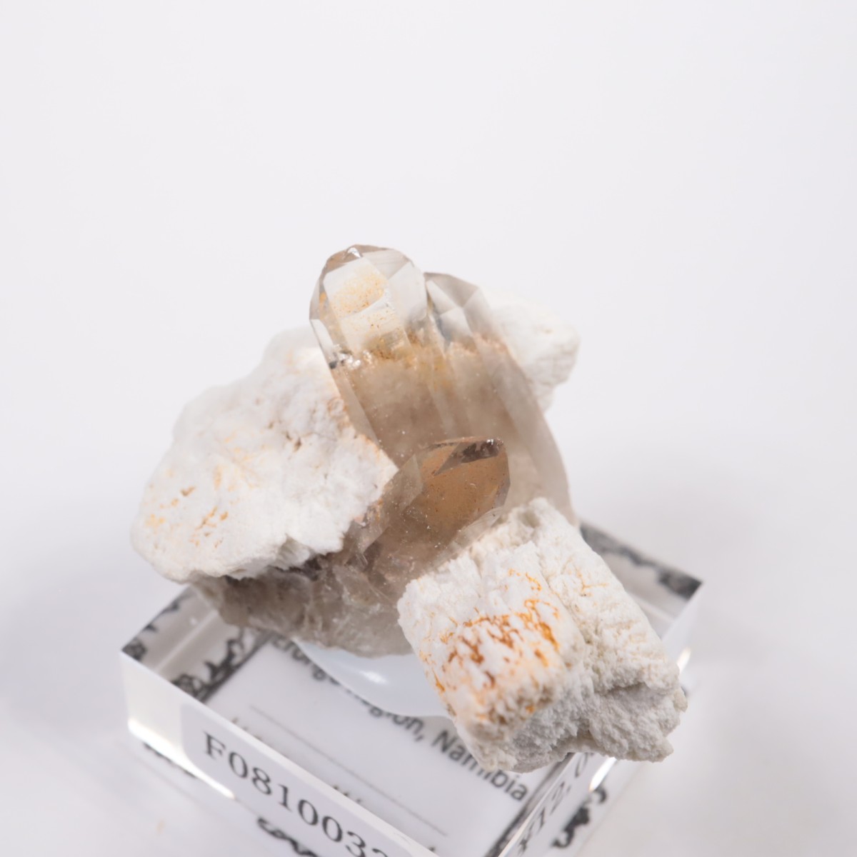 �����󥴹ۻ� ���⡼������������