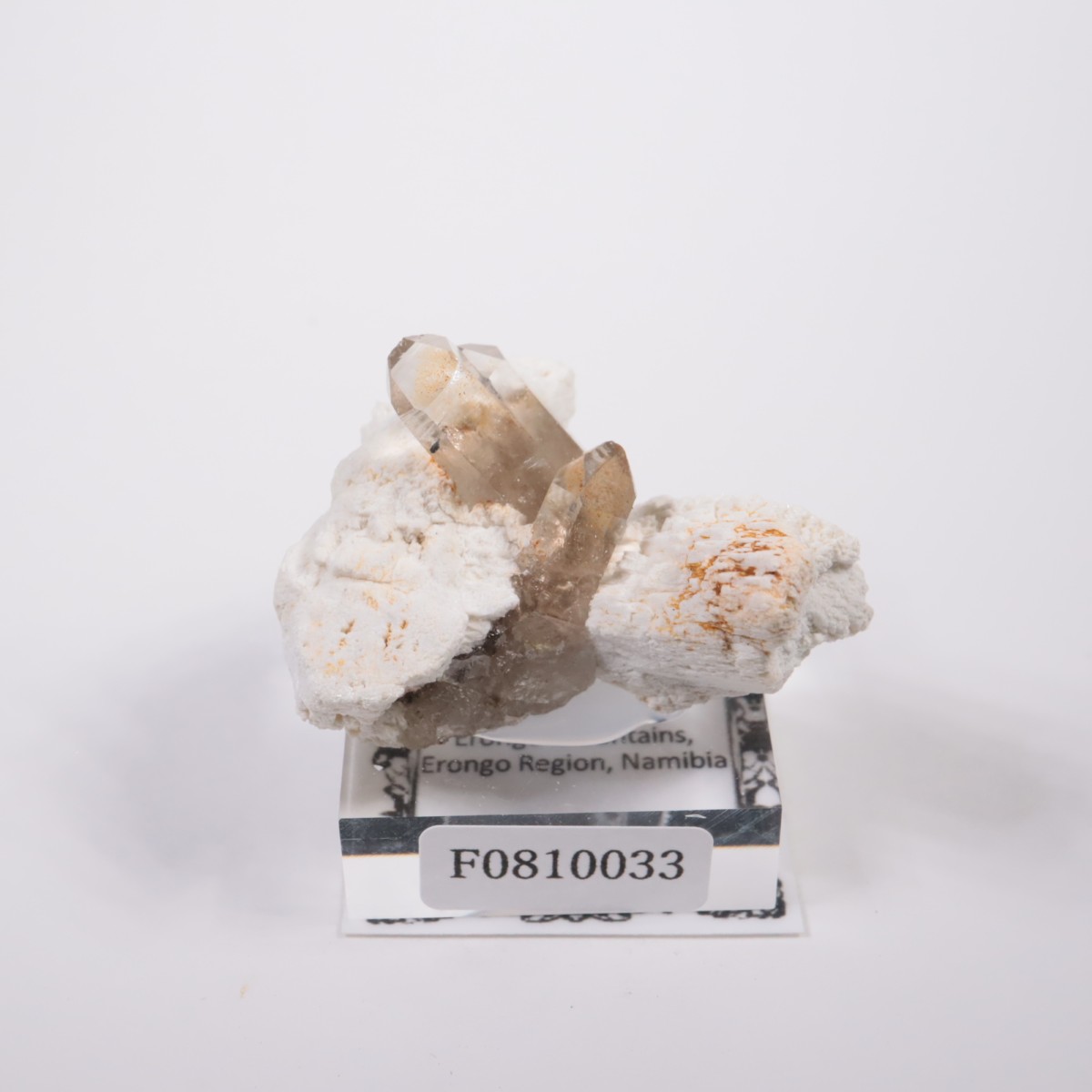 �����󥴹ۻ� ���⡼������������