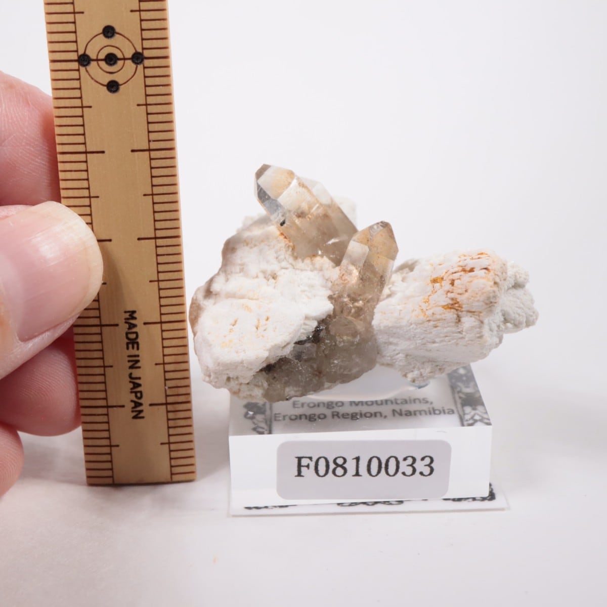 �����󥴹ۻ� ���⡼������������