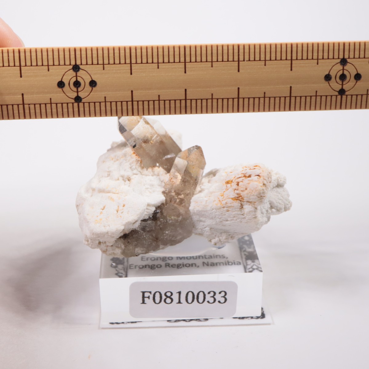 �����󥴹ۻ� ���⡼������������